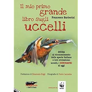 Il mio primo grande libro sugli uccelli. Guida al riconoscimento delle specie italiane e loro evoluzione: uccelli, i dinosauri di oggi