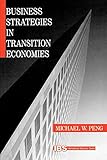 Business Strategies in Transition Economies (International Business series)