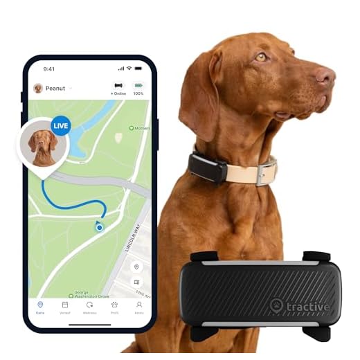 Tractive GPS Tracker Dog | Recommended by Martin Rütter | Live Tracking | Running Alert | Activity Tracking | Health Warnings | Bark Behavior (Black)