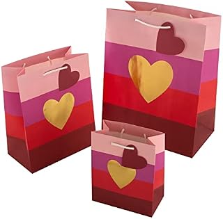 Hallmark Love Hearts Gift Bag Bundle - 3 Bags in 1 Contemporary Design, Pink & Red