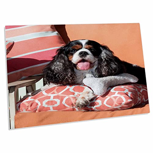 3dRose Danita Delimont - Pad para escritorio de perros miniatura 1