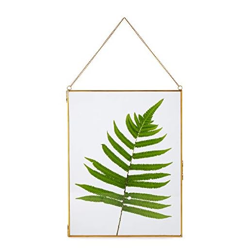 NCYP Hanging Gold Glass Floating Frame for Artwork Photo Certificate Picture, 14.2x11 Inch, Handmade Large Double Glass Frame for Pressed Dried Flower Plant, Home Wall Decor (Glass Frame Only)
