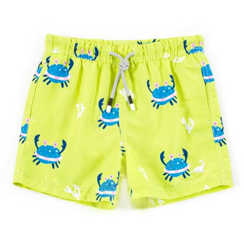 Image of SURF CUZ Surfcuz Little Boys Swim Trunks UPF 50+ Toddler Beach Shorts Swimsuit Kids Quick Dry Swimwear