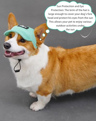 BPTRKOM 1 Stück Hunde-Basecap mit verstellbarem Sonnenschutz - Baseballmütze mit speziellen Ohrlöchern für alle Hundegrößen - Atmungsaktives UV-Schutz-Design (Größe: M, Farbe: Grün)