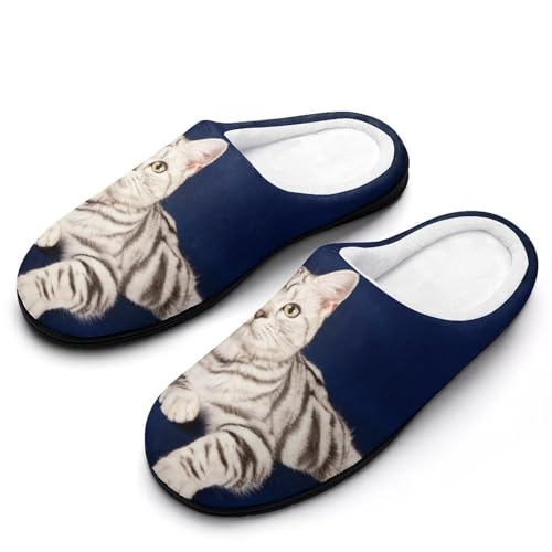 [STEBVI] Xbp  AJV[gwA L F [V[Y  nEXXbp  Y fB[X  ~ g 􂦂 qp p jp v[g