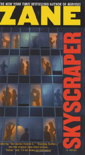 Skyscraper: A Novel view 2