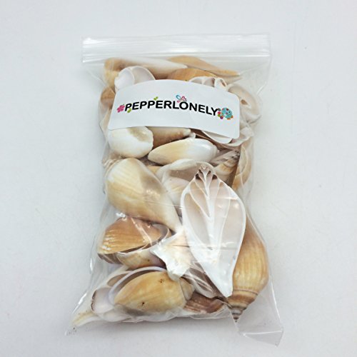 Pepperlonely Multi Cut Canarium Sea Shells, 8 Oz Apprx. 50+ Pc Shells, 3/4 Inch ~ 2 Inch #TOP2