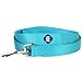 Blueberry Pet Essentials Turquoise Dog Leash for X-Small -5' * 3/8