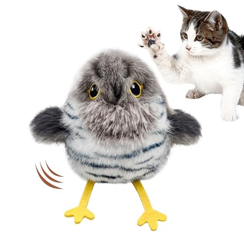 BommFu H΂ Lp, [d  L炵, m ybgpi qL ANeBuvC  NX}X ap