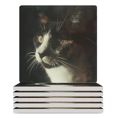 Dessous de verre chat lot de 6 céramique carrés pour table