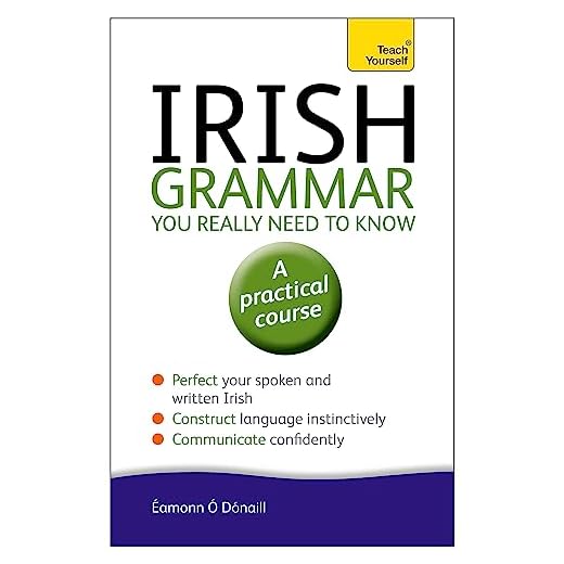 Irish Grammar You Really Need to Know: A Practical Course