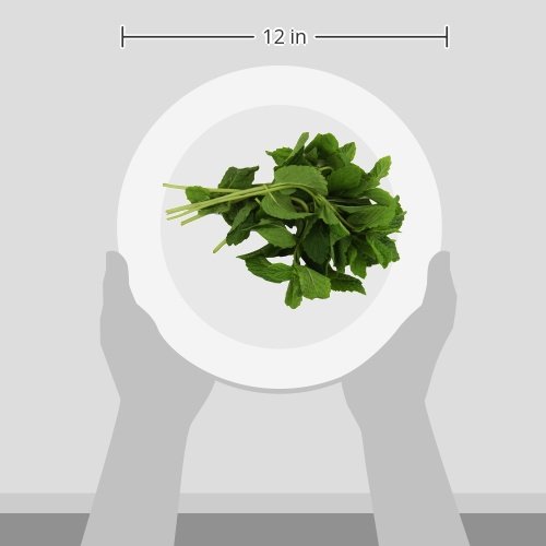 Organic Mint, 0.75 oz Clamshell