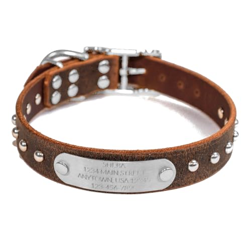Handmade Studded Bridle Leather Dog Collar, Silver Tone Hardware and Stainless Steel Nameplate (Distressed Brown)