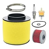 Eamonhigh Foreman 450 Air & Oil Filter Replacement for Honda Rancher 350 TRX350 2000-2006