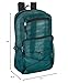 Deluxe See Through Mesh Backpack with Bungee Cord & Adjustable Padded Straps for Swimming, Travel (Green)