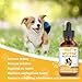 Natural Yeast Infection Treatment for Dogs,Supports Healthy Itch Relief,Inflammation Relief,Allergy Relief & More,Dog Ear Infection Treatment,Itch Relief for Dogs,Ear Infection Treatment for Dog