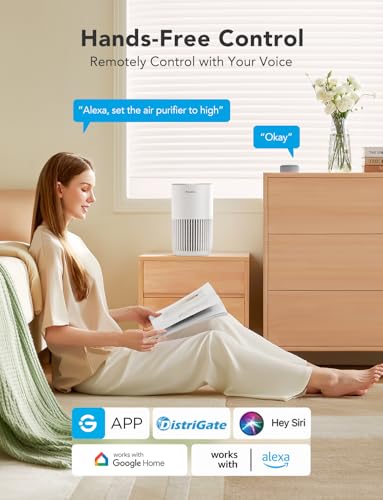 GoveeLife Smart Mini Air Purifier