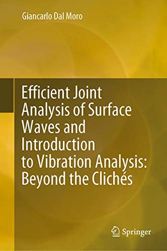 Buy Efficient Joint Analysis of Surface Waves and Introduction to Vibration Analysis: Beyond the Clichés — BookShops.in