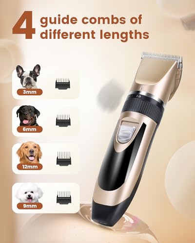 PAPMINI 2 in 1 Hundeschermaschine, Extra Leise Hundepfoten Trimmer mit LED-Licht, Professionelle Schermaschine Hund & Pfotentrimmer, Type-C Fellschere für kleine und große Hunde, Katzen