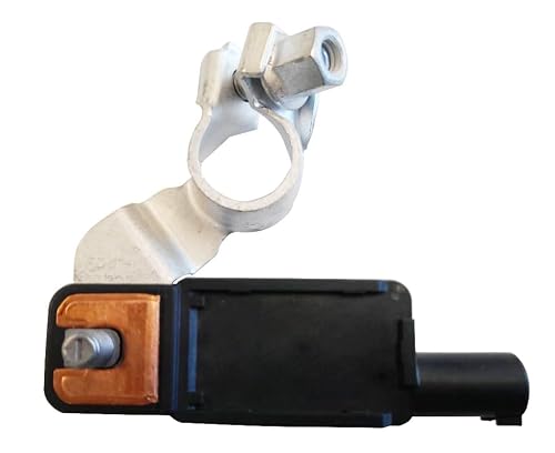Bosch 0199300199 Electronic Battery Sensor (EBS)