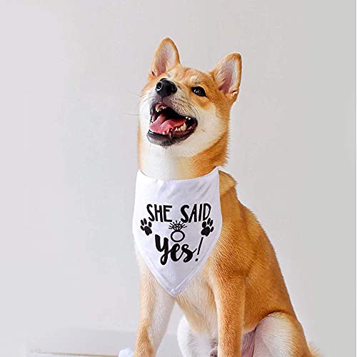 Hdgdt She Said Yes Dog Bandana, Wedding Dog Bandana, Dog Engagement Announcement, Wedding Photo Prop, Pet Scarf, Petphoto Prop, Pet Scarf, Pet Accessories #TOP3