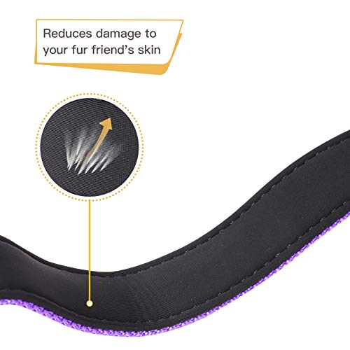 Image of HEELE Dog Collar, Reflective Dog Collar, Soft Neoprene Padded Breathable Nylon Pet Collar Adjustable for Small Dogs Puppy, Purple, XS(7.87-11.81 inch)