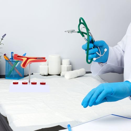Modèle anatomique cardiovasculaire Operitacx avec finition fine pour étudiants