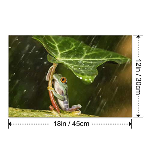 Bvkilrvc Unframed Canvas Print Wall Art,Frog Rainy Day Modern Gallery Wall Decor Print Gift Wall Living Room Bedroom Home Party Decoration Painting Unframed #TOP1