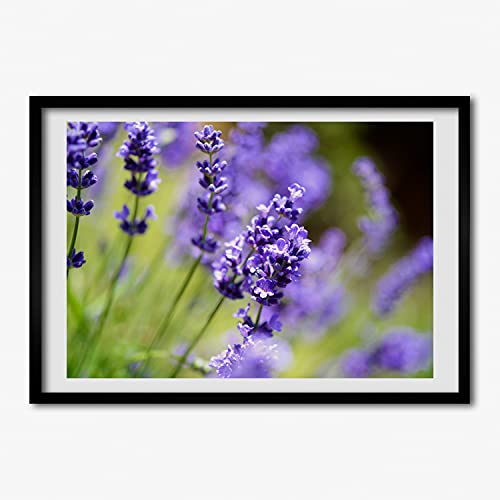 Cadre photo affiche lavande 70x50 Tulup grand tableau moderne en bois decorative