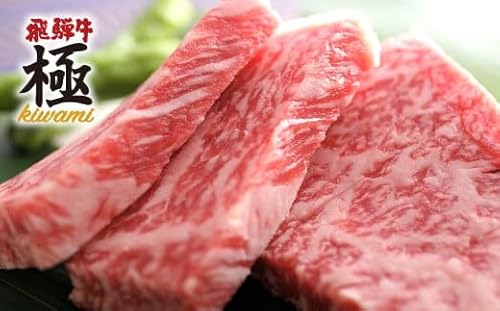 飛騨市推奨特産品 飛騨牛 ミニロインステーキ4枚 牛肉 和牛 肉 ステーキ 岐阜県 飛騨市