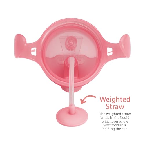 Image of Munchkin Click Lock Tip & Sip Weighted Straw Cup, 208 ml, BPA Free, Pink