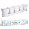 SCANDINORDICA White Herb Planter–5 Pots with Drainage Holes and Tray Windowsill Planter Indoor Planter Outdoor Herb Pots for Indoor Plants