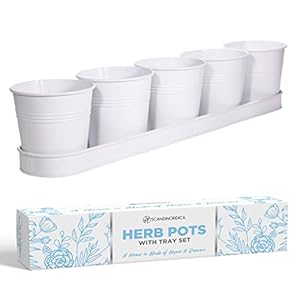 SCANDINORDICA White Herb Planter–5 Pots with Drainage Holes and Tray Windowsill Planter Indoor Planter Outdoor Herb Pots for Indoor Plants