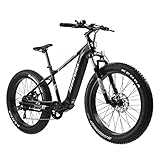 E-Bike Herren Damen mit 250W Motor, E-Mountainbike mit 48V 10,4Ah 500Wh Akku Hydraulische Scheibenbremse, 26