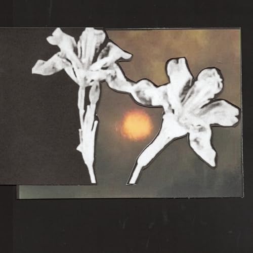 Loving You / Don't Let Me Goの商品画像