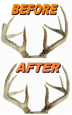 ZBDPOVT ZDD20.24-11-24-143