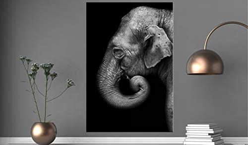 artgeist Acoustic Canvas Wall Art Print Elephant 24x35 in - 1pcs Picture with Acoustic Foam Sound Print Artwork Room Acoustics Soundproofing Animals Eye Black Grey g-B-0109-b-a