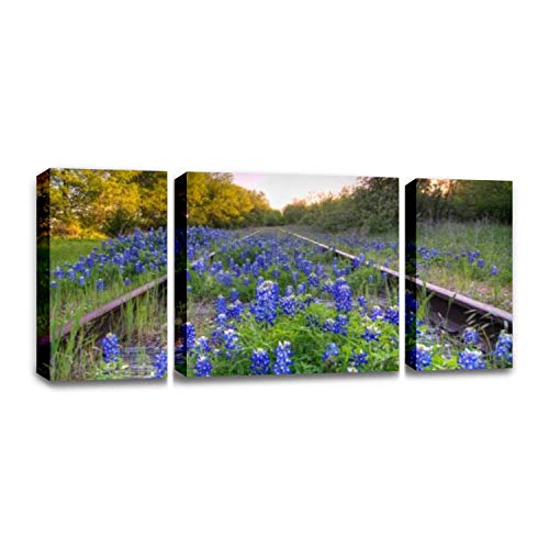 Ccartist Bluebonnets And Train Rails Railways And Pictures Wall Decor Print On Canvas Modern Artwork Living Room Bedroom Painting Art Wall #TOP13