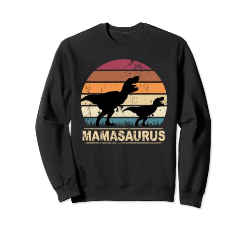 Mamasaurus Dinosaurus Mama Dino Sunset - Dinosaurio T-rex Sudadera