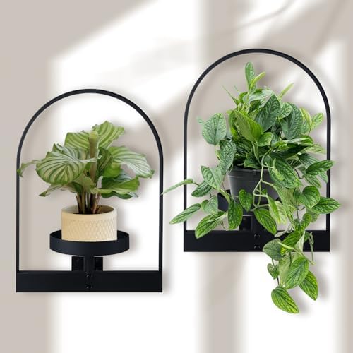 Amazon.com: Bamworld Wall Plant Holder Wall Planters for Indoor Plants ...