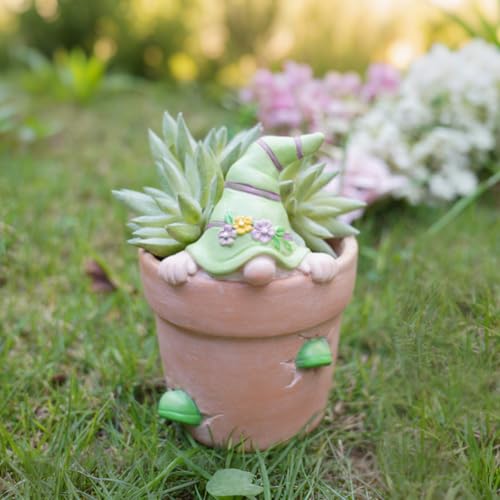 Newman House Studio Flower-Pot Spring-Gnomes Easter Decorations Cactus-Succulents - Unique