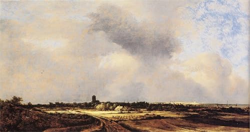 Cuadro Pared Vintage de gran formato 60x90cm poster clasico Veduta di Naarden Jacob Van Ruisdael