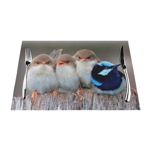 Sets de table en PVC anti-taches faciles à nettoyer
