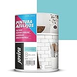 Fliesenfarbe auf Wasserbasis, Für Ihrer Küche und Bad (750 ml, TÜRKISBLAU)
