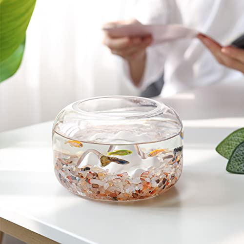 Image of T4U Crystal Chips Stone Crushed Quartz Glass 1LB - Carnelian Tumbled Gravel Small Decorative Pebbles Bulk, Mini Polished Rocks Pieces for Crafts, Vases Filler, Succulent Plants, Aquarium Gravel Rocks