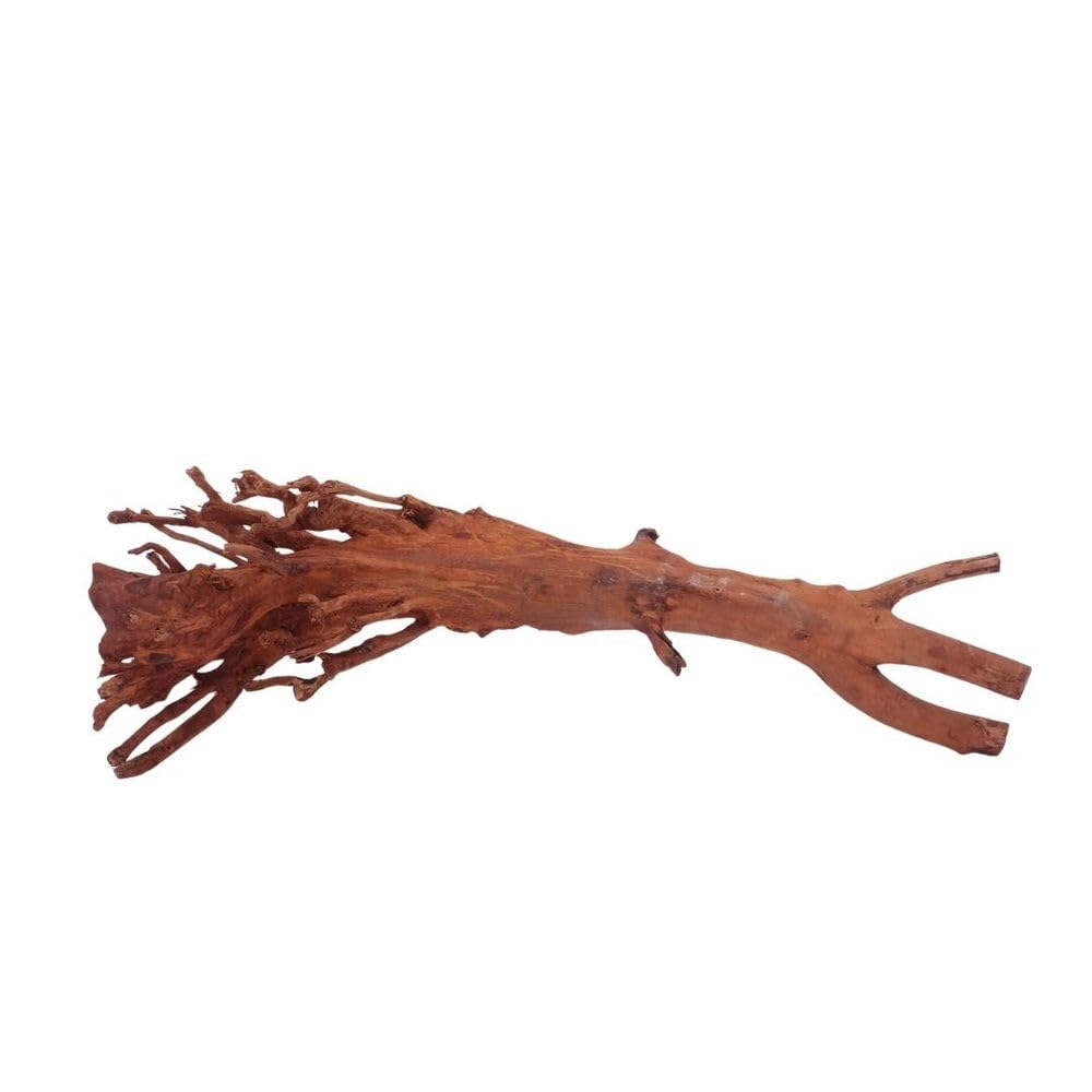 AquaOne Aquarium Wurzel M Jungle Wood Nr.4462 Aquarium Wurzel Holz Deko Aquascaping Dekoration Landschaft Moos Natur Echtholz