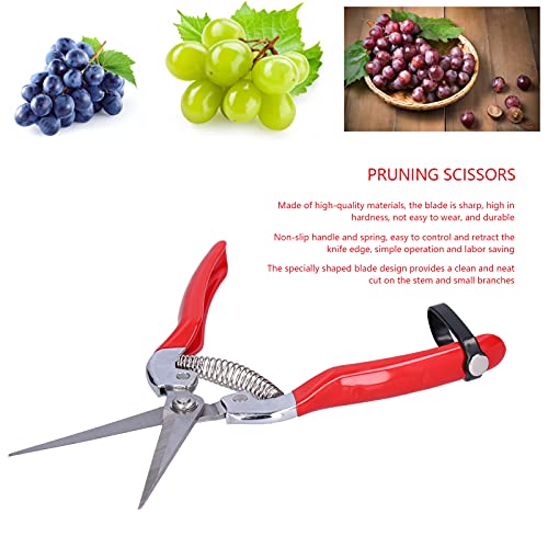AUNMAS Fruit Picking Scissors - Image 4