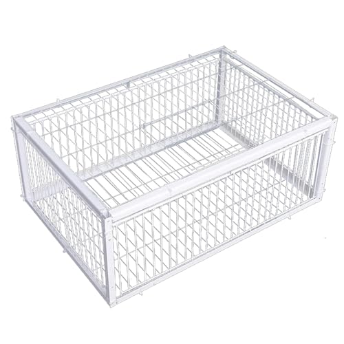 Piège à Pigeons, piège à Oiseaux avec entrées Sens Unique et Lucarne, Cage Pigeons en métal de 16 x 12 x 10 Pouces pour fermes, granges, Jardins, élevage de...