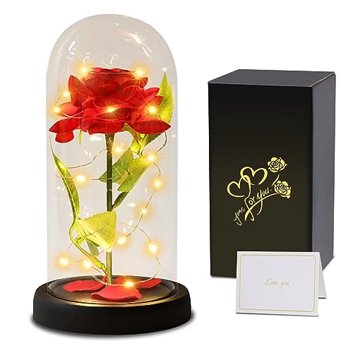 Touloube Rosa Eterna Regalo de San Valentín para Ella Mujeres, La Bella y la Bestia Rosa, Kit de Rosas,Elegante Cúpula de Cristal con Luces LED, Regalo de Flores Artificiales, Mamá, Esposa