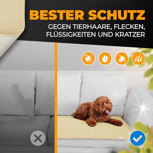 SympaTierisch wasserdichte Hundedecke - Robuste Hundematte als Schutz für Sofa & Bett - rutschfeste Hundedecke auch für große Hunde geeignet - in der Waschmaschine waschbar - 130 x 100 cm - gelb